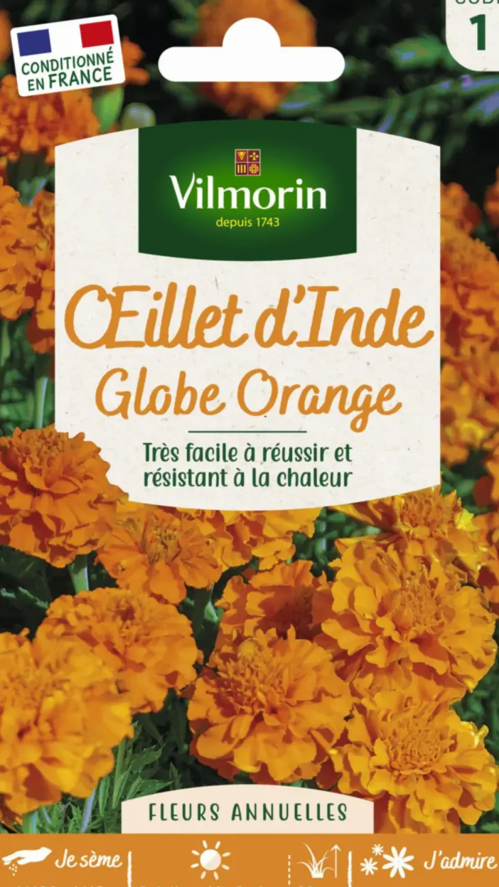 Graines d’Œillet d’Inde Globe orange Vilmorin - graines à semer