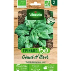 Graines d'épinard géant d'hiver bio Vilmorin - graines à semer