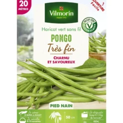 Graines haricot vert nain Pongo coloris vert Vilmorin jardin - graines à semer