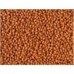 Granulés énergétiques pour reptiles, TETRA ReptoMin Energy - contenance 100ml - 34g