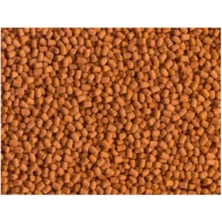 Granulés énergétiques pour reptiles, TETRA ReptoMin Energy - contenance 100ml - 34g