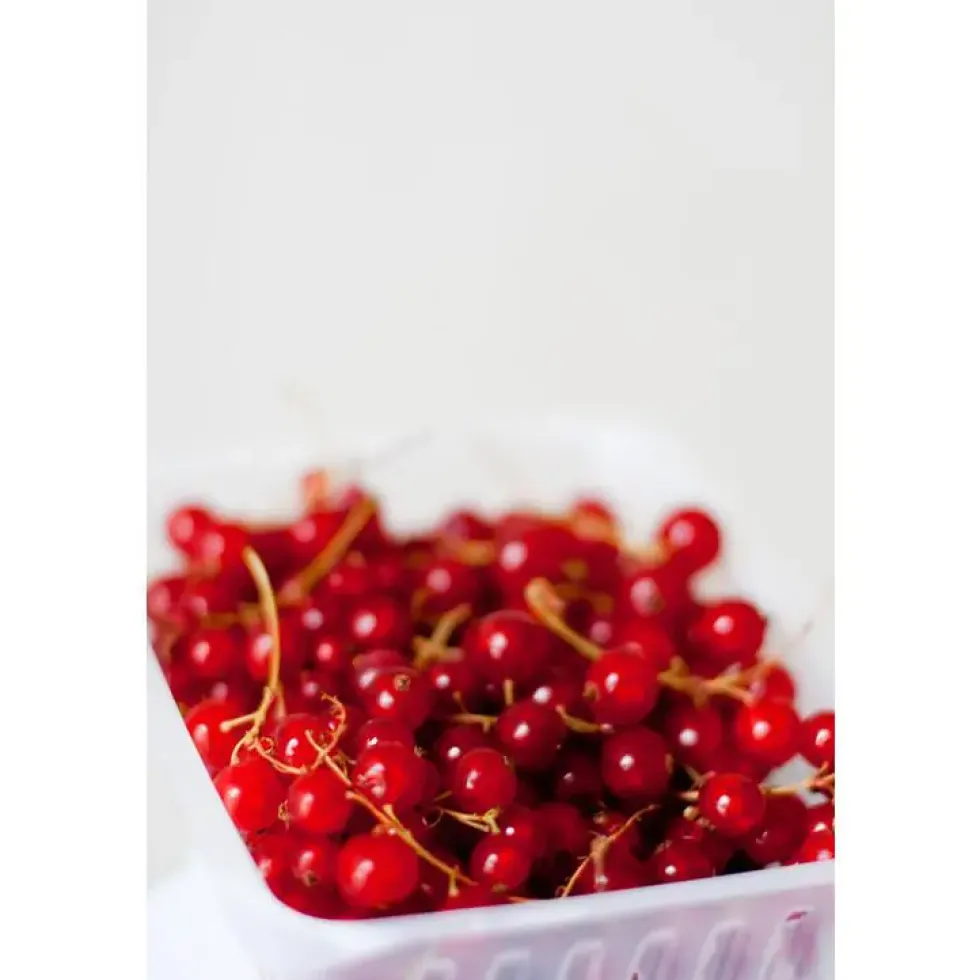 Groseilles bio de France - Barquette de 125 g