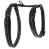 Harnais Flash pour chat coloris noir