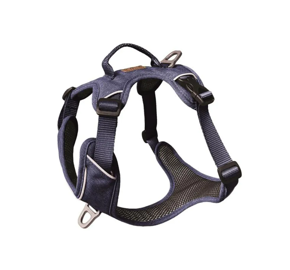 Harnais pour chien coloris bleu foncé Kyflie Momentum Urban - Taille 1
