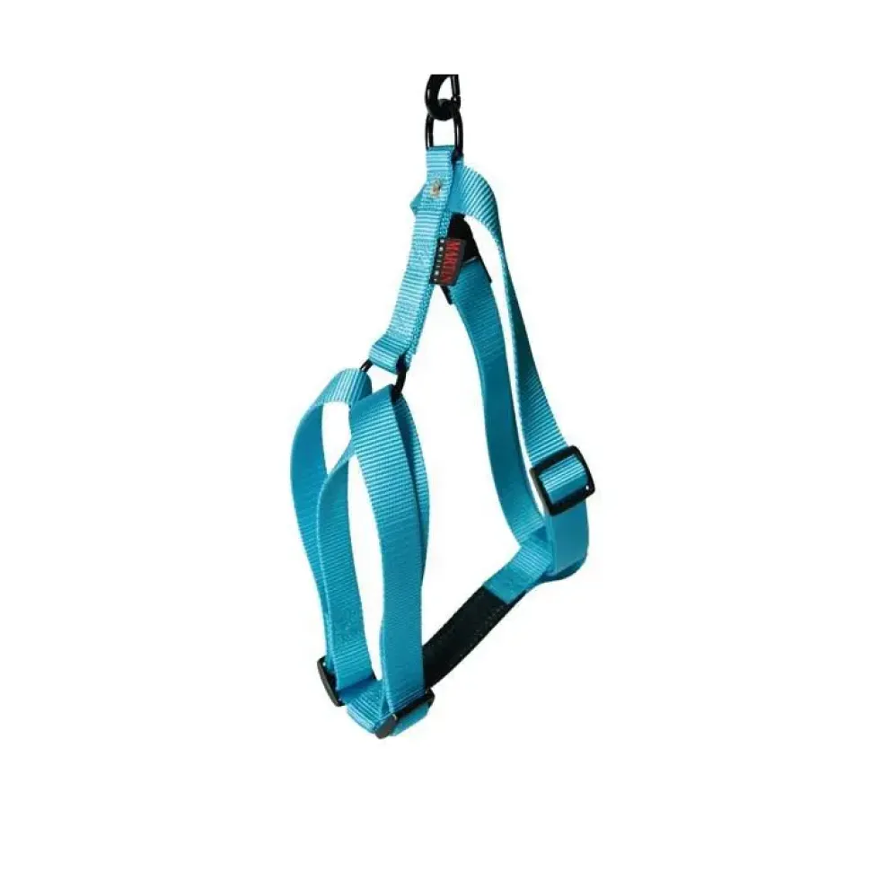 Harnais Turquoise 35/50cm Martin Sellier