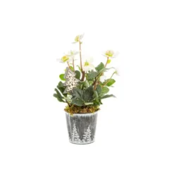 Hellebore Cache Pot Zinc Foret