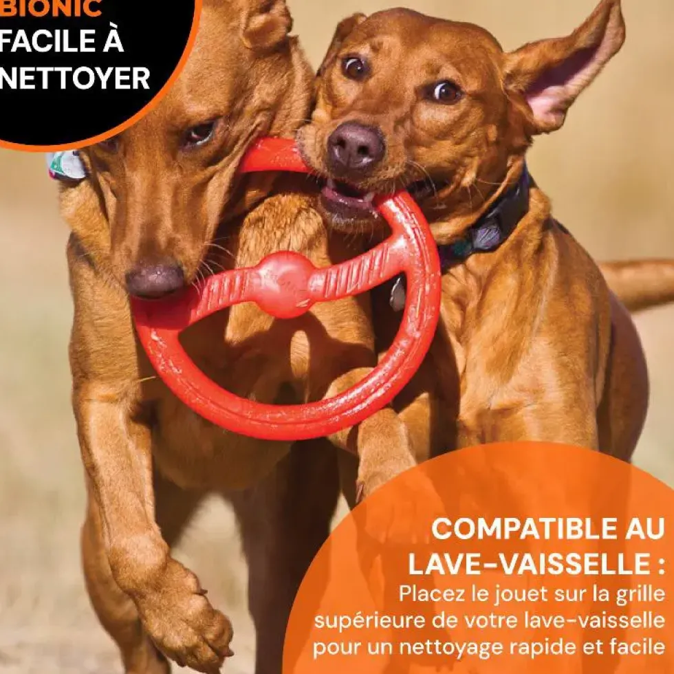 Jouet pour chien en caoutchouc coloris orange anneau Bionic Toss-N-Tug