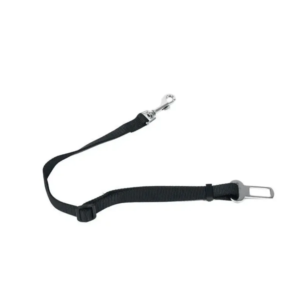 Laisse Ceinture Sécurité 20 mm/ 75 cm