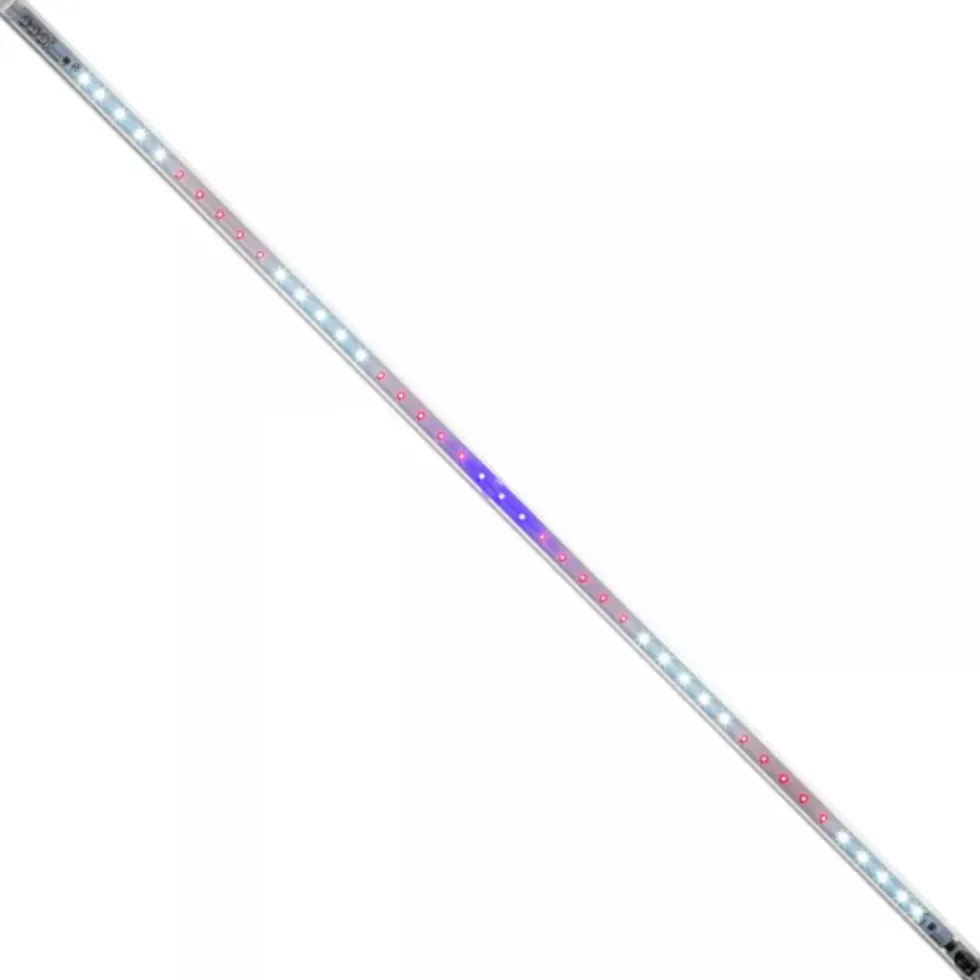 Leddy Tube Retrofit LED Plant 2.0 | 17 W - AQUAEL - 101.5cm