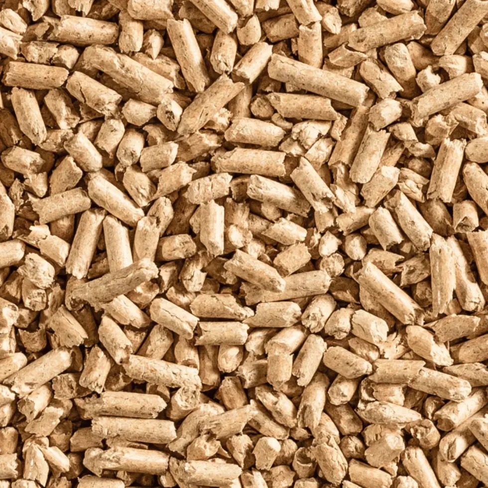 Litière végétale agglomérante pour chat Cat’s Best Smart Pellets 10 L - 5 kg