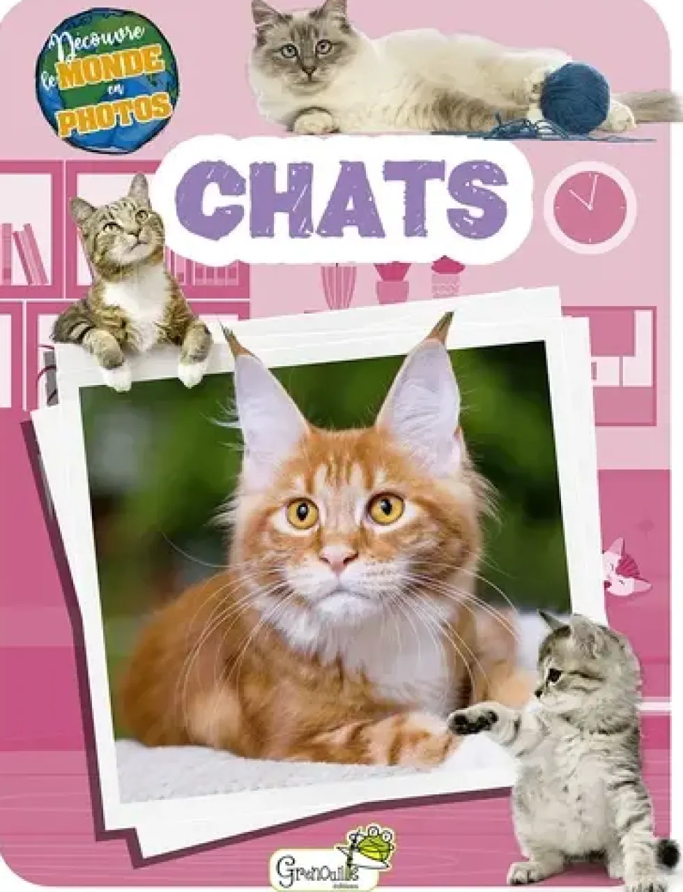 Livre "Chats - découvre le monde en photos" aux Éditions Grenouille
