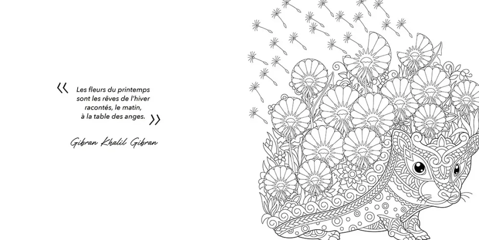 Livre de coloriage "Rêves en couleurs" aux Éditions Artemis