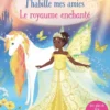 Livre "Le royaume enchanté" collection J’habille mes amies aux Éditions Usborne