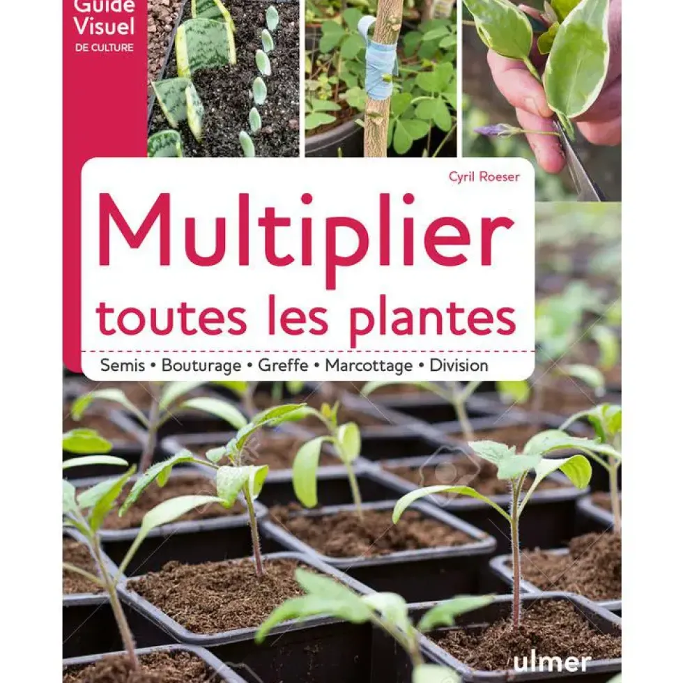 Livre Multiplier toutes les plantes - Guide visuel de culture Éds Ulmer - 120 pages