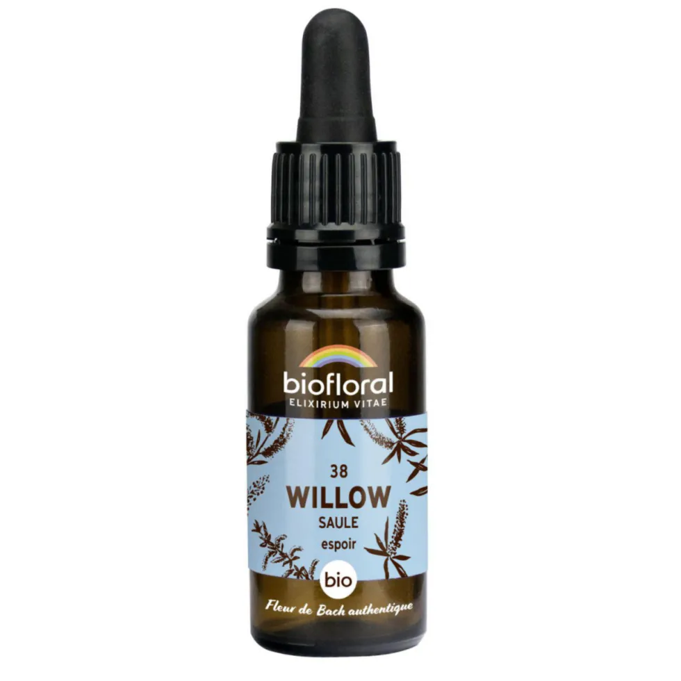 Élixir n°38 Biofloral de saule en flacon de 20 ml