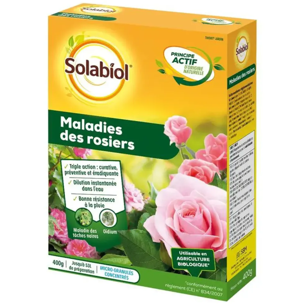 Maladies des rosiers