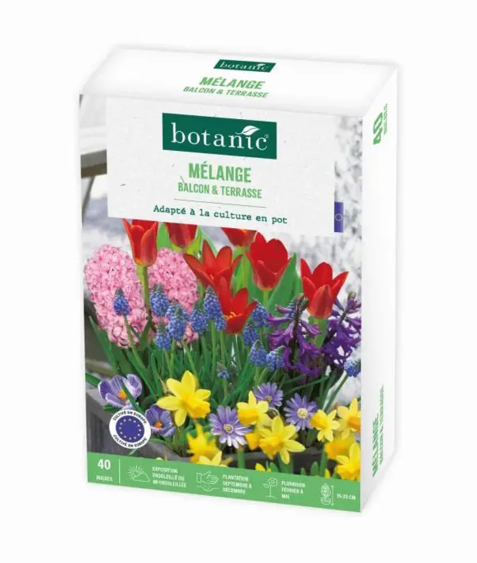 Mélange balcon et terrasse botanic® - 40 bulbes