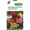 Mélange dahlia Cactus nain botanic® - 5 bulbes