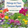 Mélange de fleurs 25 m² floraison rapide coloris multicolore Vilmorin jardin - 10 x 2,7 x 17,2 cm