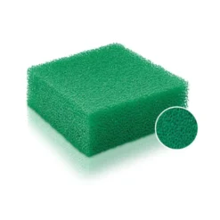 Mousse dénitrateur compacte verte