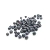 Myrtilles bio de France - Barquette de 125 g