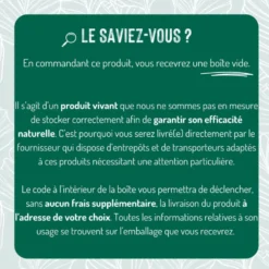 Nématodes traitement biologique contre les vers blancs et mouches
