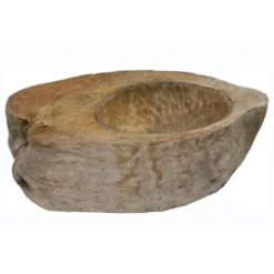 Noix de coco pour terrarium coloris marron Reptile Planet Coco Bowl