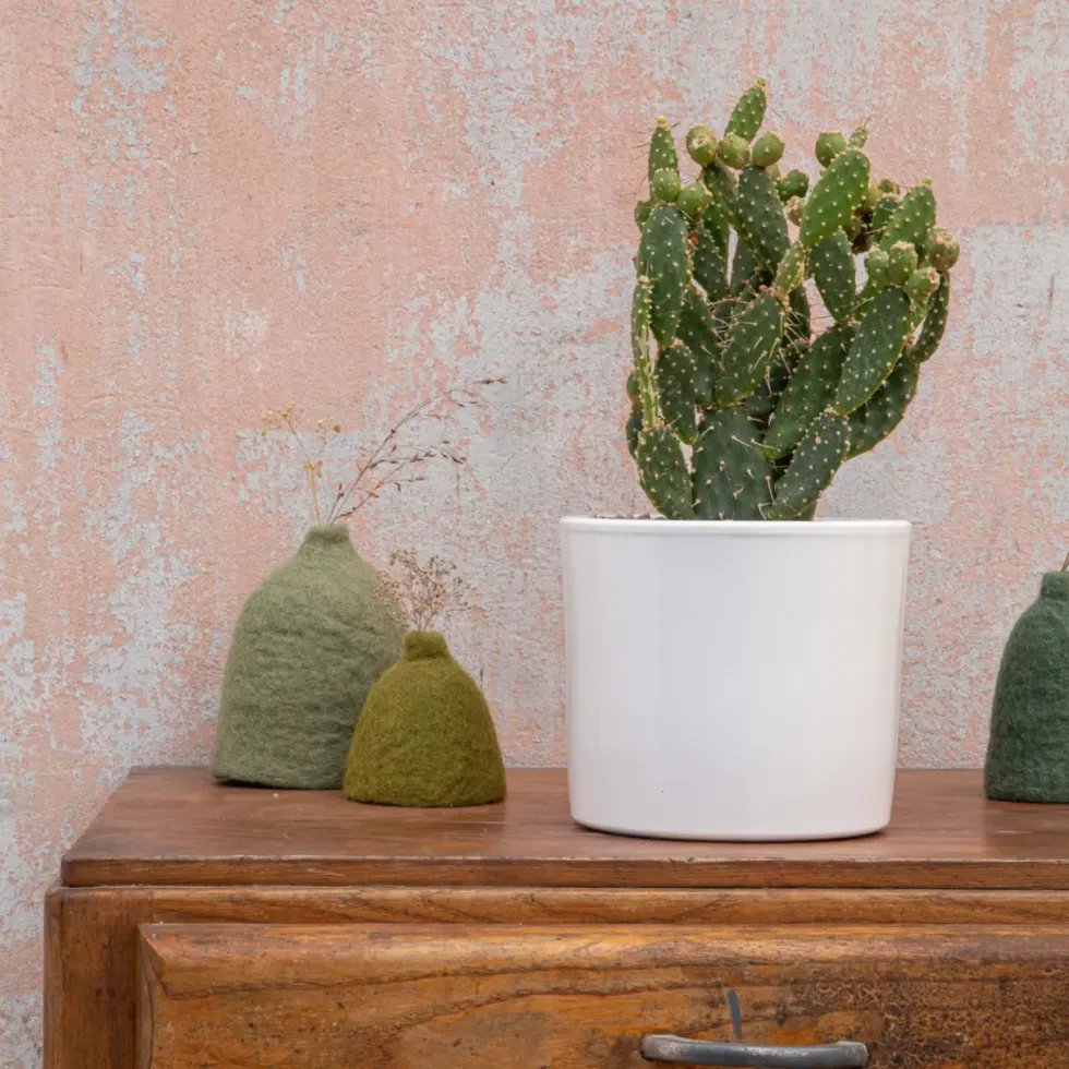 Opuntia mix en pot blanc émaillé Ø 20 cm