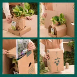 Origan Bio. Le pot de 1 litre