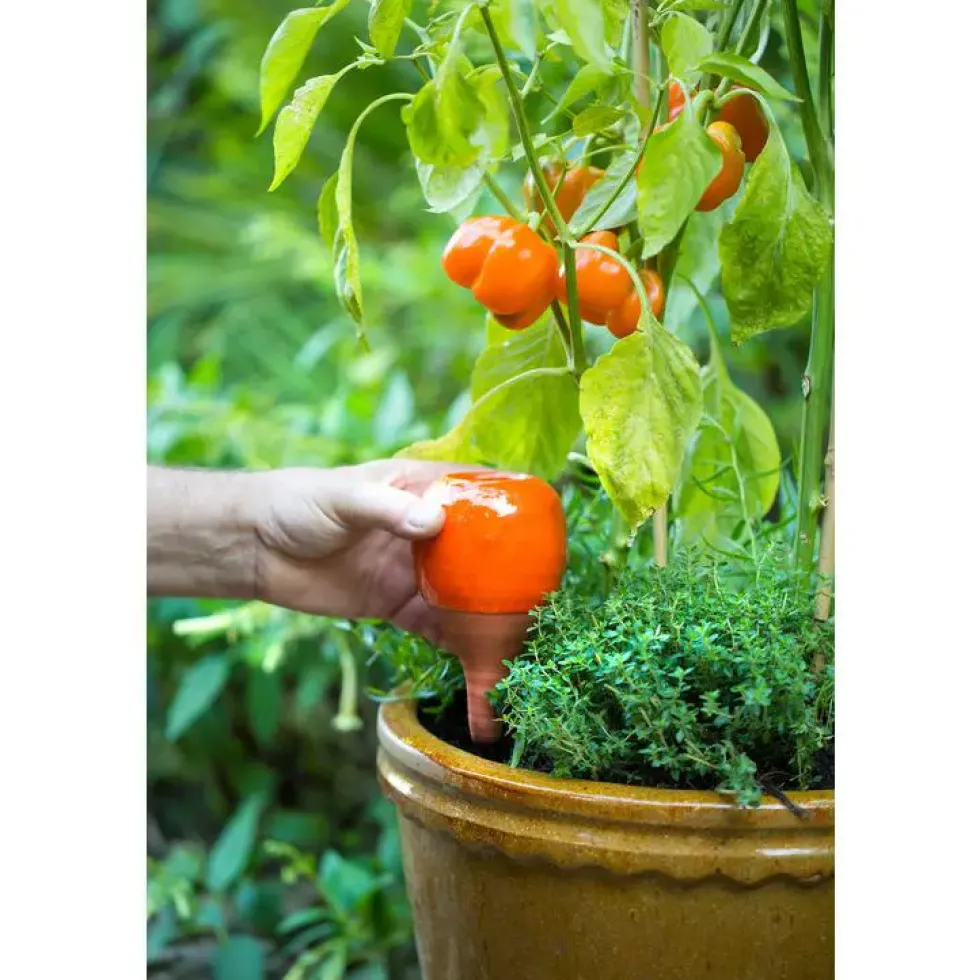 OYAS à planter émaillée Orange