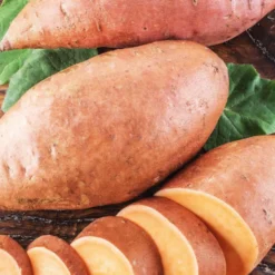 Patate Douce Bonita Bio. Le pot de 1 litre