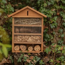 Petit hôtel à insectes en sapin Douglas