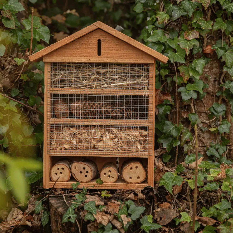 Petit hôtel à insectes en sapin Douglas
