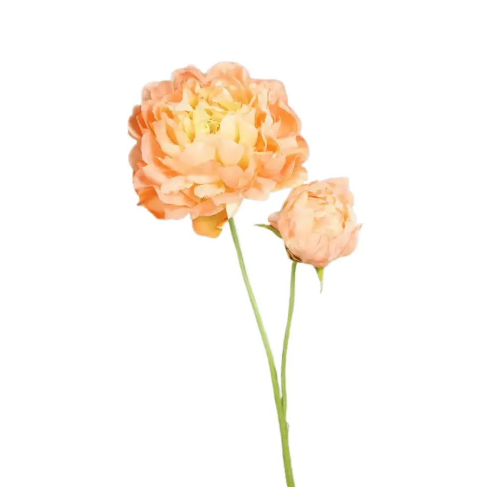 Pivoine artificielle pêche avec 1 fleur et 1 bouton - 67 cm
