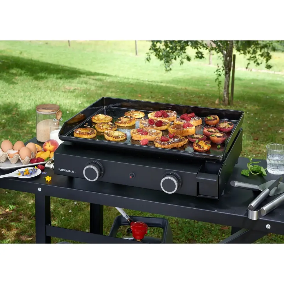 Plancha Base Gaz 60 châssis acier 5000W