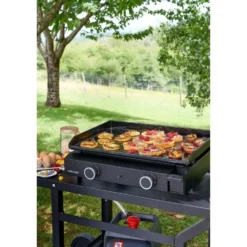Plancha Base Gaz 60 châssis acier 5000W