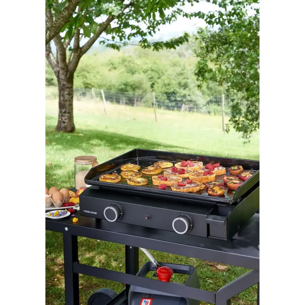 Plancha Base Gaz 60 châssis acier 5000W