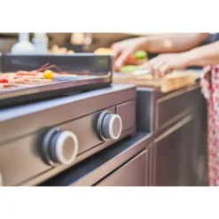 Plancha Modern gaz 60 coloris noir en acier Forge Adour - 65,5 x 57,3 x 23,8 cm