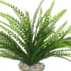 Plante artificielle pour aquarium coloris vert LABEO Elodea Corolle