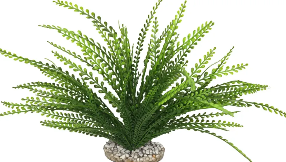 Plante artificielle pour aquarium coloris vert LABEO Elodea Corolle