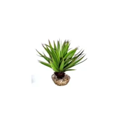 Plante succulente verte en tissu moyen modèle Ø 10 cm