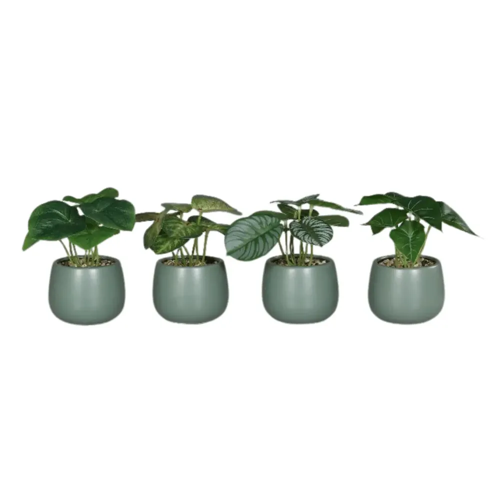 Plante verte artificielle en pot céramique vert - 15 cm