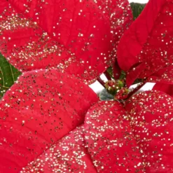 Poinsettia pailleté rouge en pot Ø 21 cm