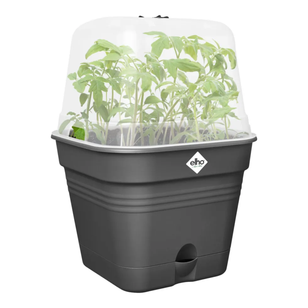 Pot de culture carré coloris living noir Elho Green Basics Allin1 - 20 cm