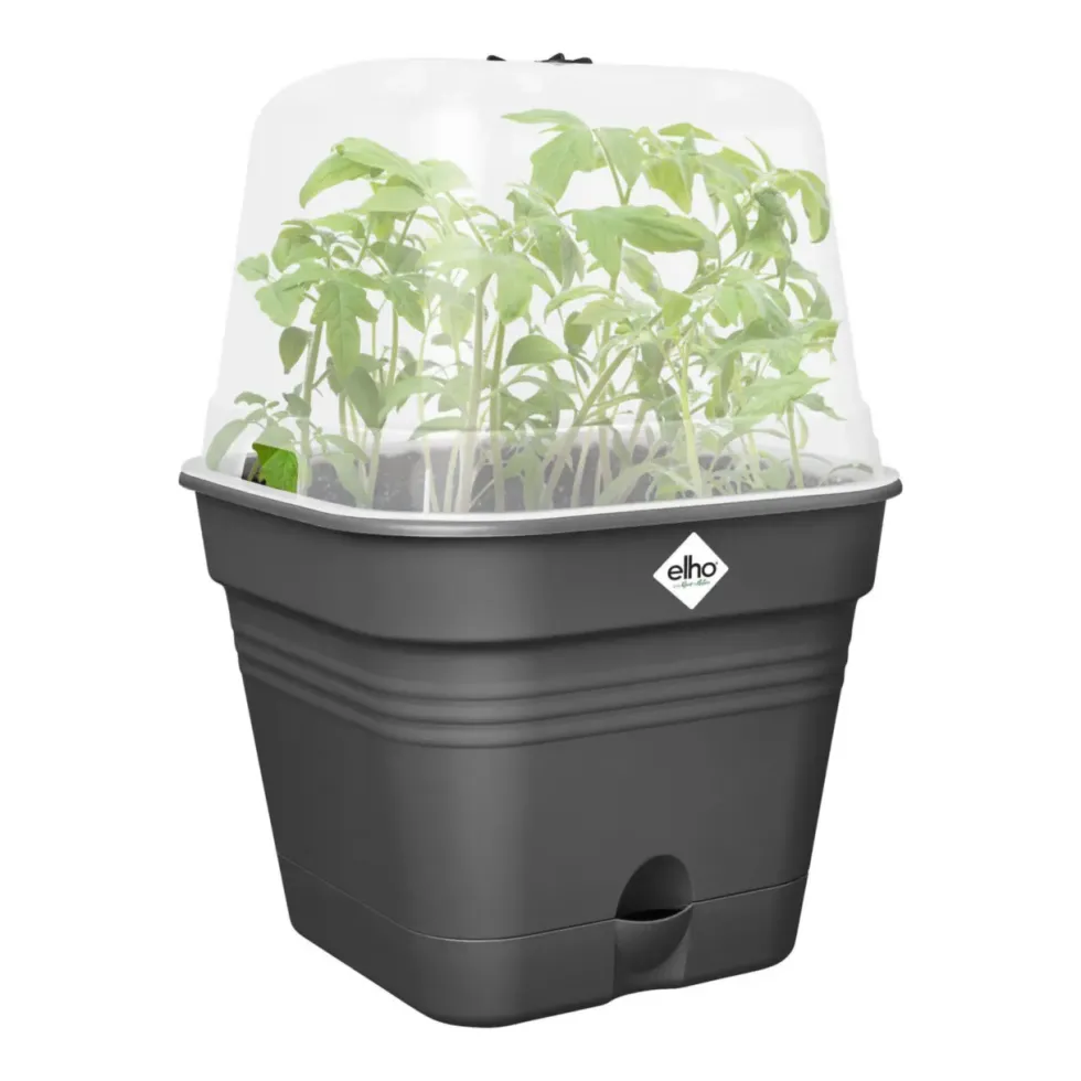 Pot de culture coloris Living noir Elho Green basics - ø 25 cm