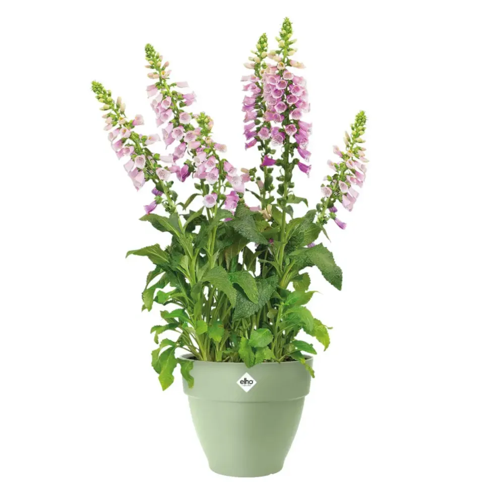 Pot en polypropylène vert pistache Elho Vibia Campana - Ø 35 x 29,7 cm