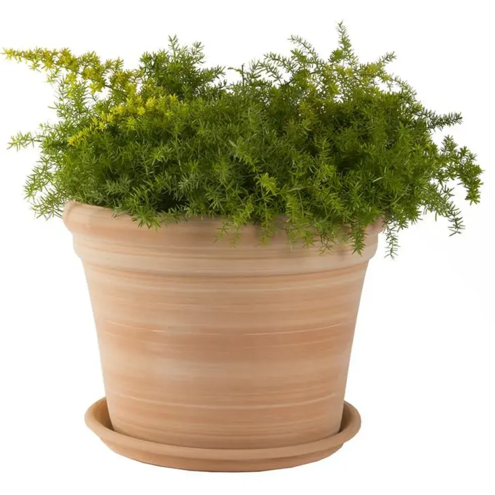 Pot gamme Cocio bordo Ø 42 cm