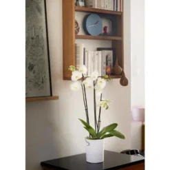 Pot Orchidée Aquaduo blanc ivoire 1,3 L