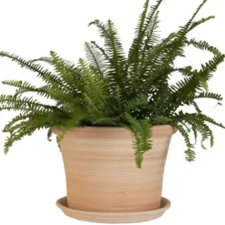 Pot rond Cocio Lisio en terre cuite claire - D40x H29