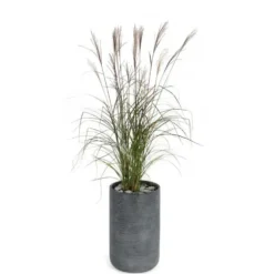 Pot rond Stream haut Anthracite Ø.37 x H.60 cm
